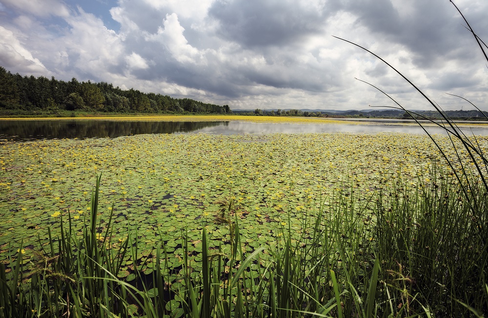 无色“黄水”背后的隐形杀手