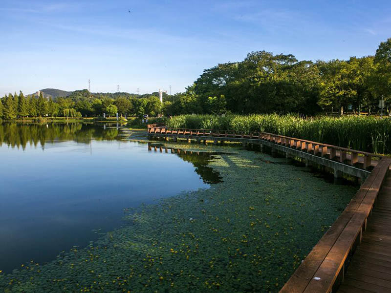 总铬在线’哨兵‘