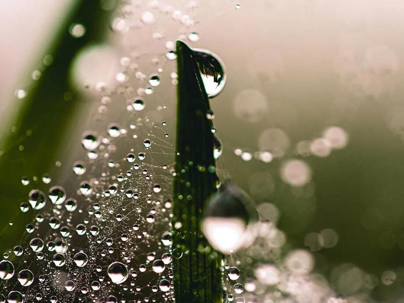 地表水质叶绿素快速测定检测方法