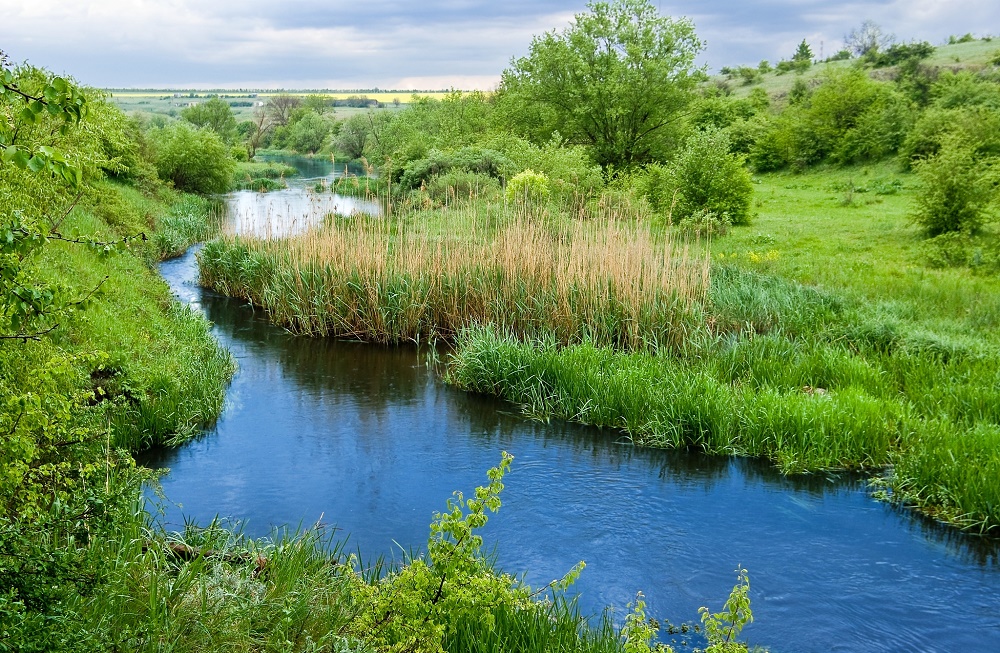 氨氮快速检测 氨氮快速检测