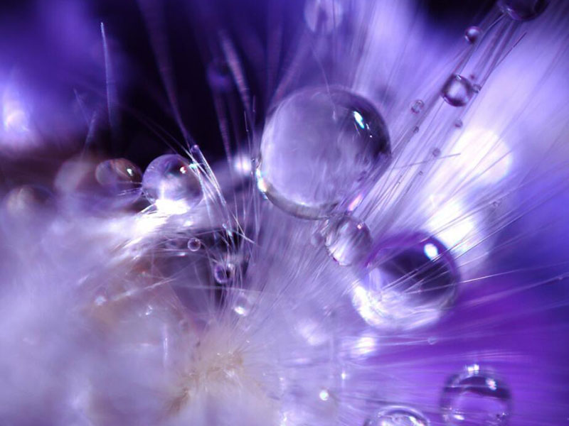 1769822649689125.jpg 1697175714166485.jpg