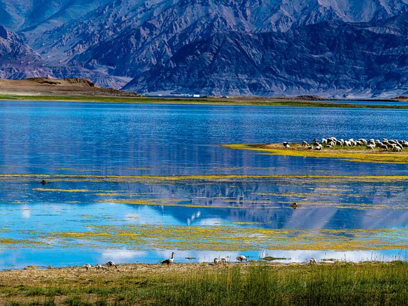 工业废水地表水质检测 pH是微生物检测