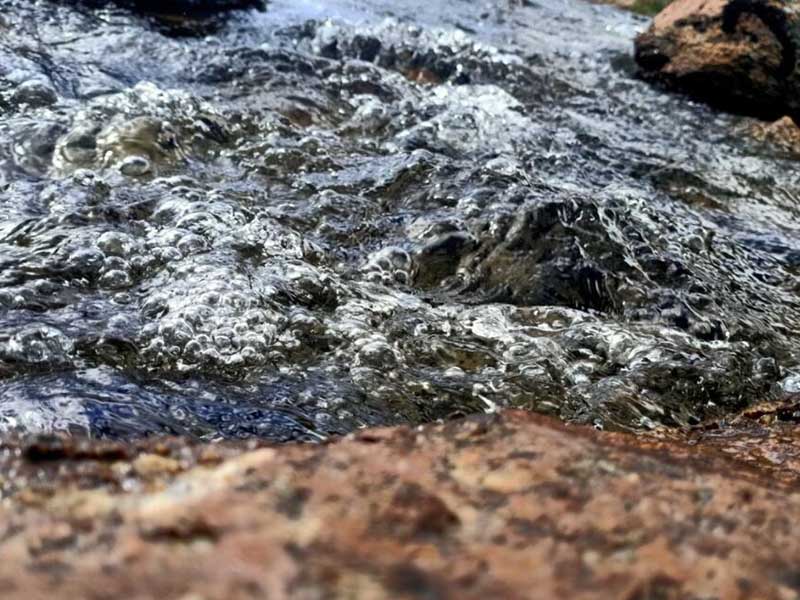 1769993917978358.jpg 1697521836925353.jpg