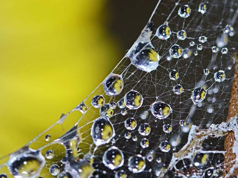 农田灌溉水“36项体检”