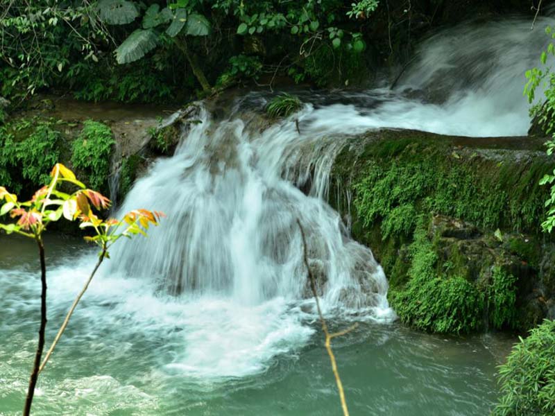 磷酸根选型四步避坑指南在线锅炉场景 磷酸根选型四步避坑指南在线锅炉场景