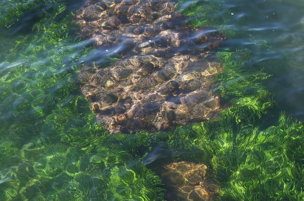 余氯水质的快速检测方法 监测时避干扰如何消除