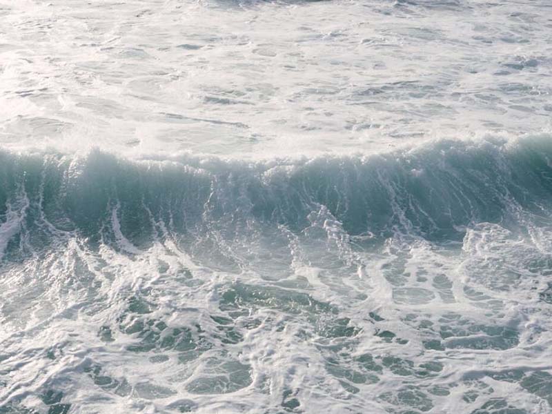 1772587490292265.jpg 1698993977775288.jpg