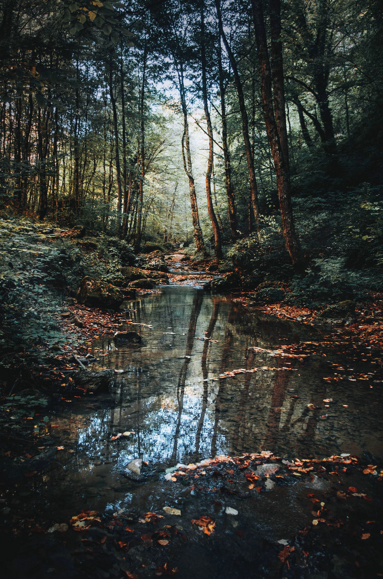 1774228699569596.jpeg 河流20.jpeg