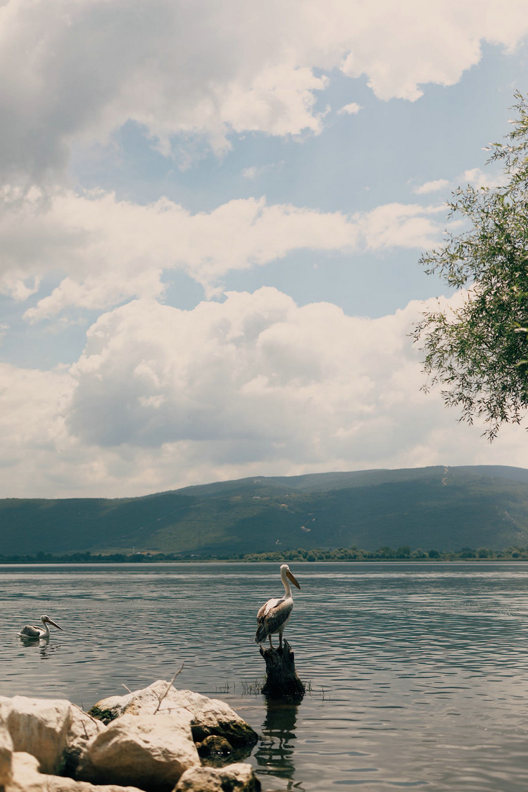 1775523353959041.jpeg 湖泊21.jpeg