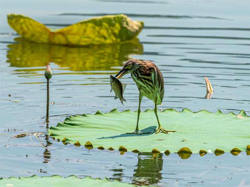 1775524580279457.jpg 1704348160387399.jpg