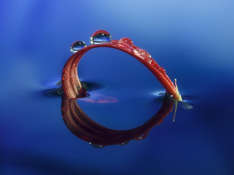 1775610807956635.jpg 1704866777110259.jpg