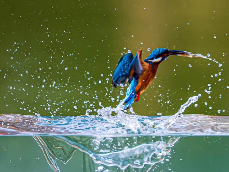 1776129299102608.jpg 1706680506275725.jpg