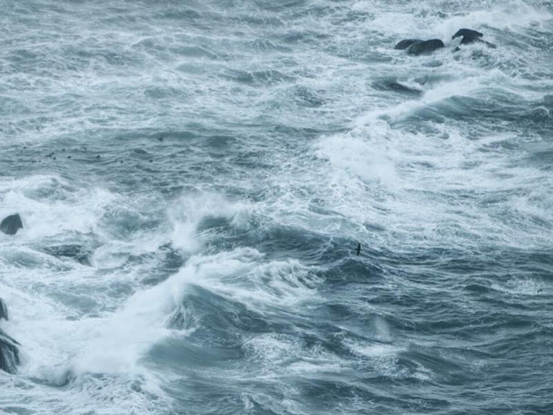 1776216579919826.jpg 1708235597164655.jpg