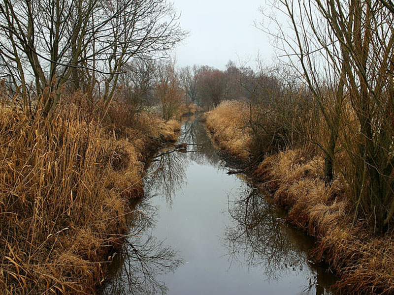 1791250303482013.jpg 33.jpg